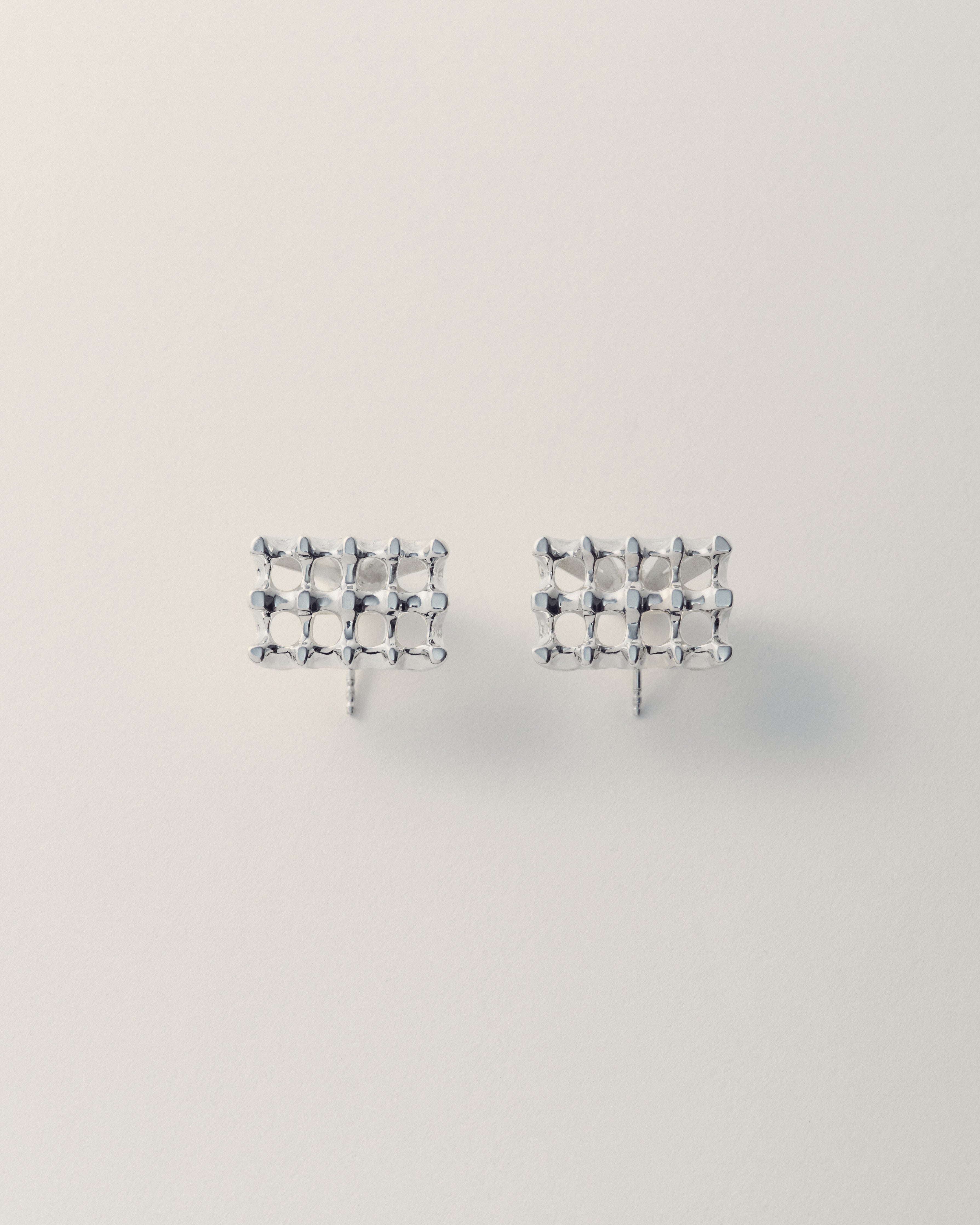 Ash Cage Earring