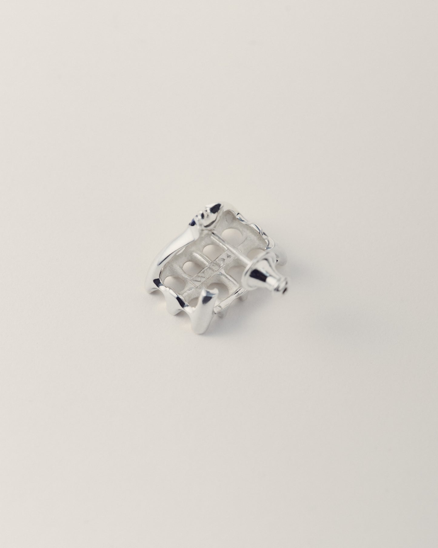 Ash Cage Earring